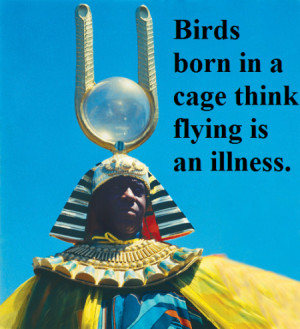Birds born in a cage think flying is an illness.