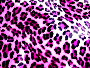 pink leopard print photo pink-1.jpg