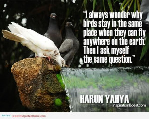 http://quotesjunk.com/i-always-wonder-why-birds-stay-in-the-same-place ...