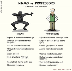 comparison between Ninja and Professor