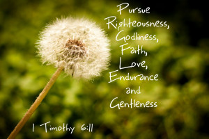 PURSUE RIGHTEOUSNESS