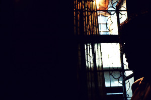 ... organizing anti-abortion protests and plotting theocratic takeover