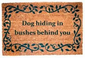 ... it dry humor quotes dry humor quotes dry humor quotes dry humor quotes