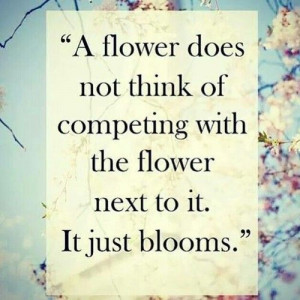 ... Pretty Quote, Roses Quote, Quotes Flower, Bloom, Flowers, Rose Quote