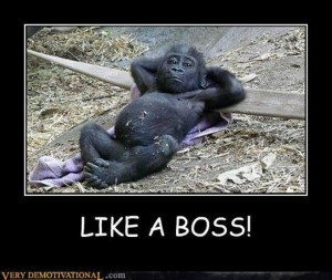 Funny Animals Like Boss