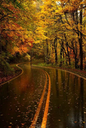 ... Great Smoky Mountain, Northcarolina, Country Roads, Autumn Rain
