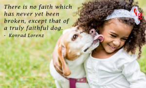 Famous Dog Quotes Which Will Make You Fall In Love With Your Pet, All ...
