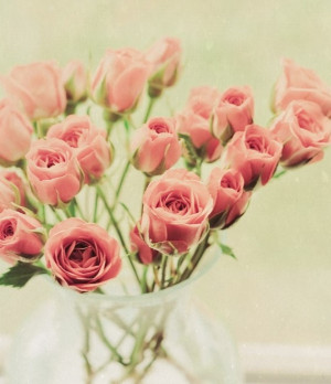 art, baby pink, delicate, flowers, leafs, photography, pink, roses ...