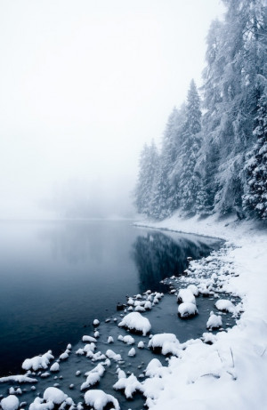 atmosphere, fog, frozen, lake, snow, trees, winter