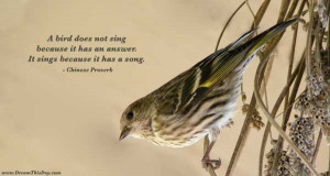bird does not sing because it has an answer .