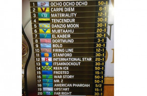 KENTUCKY DERBY 141 POST POSITION DRAW QUOTES