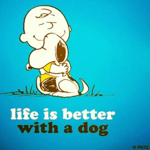 Dog Quote Via Facebook Snoopy