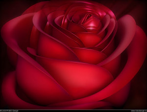 Red Rose Wallpaper With Love Quotes