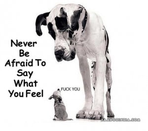Never Be Afraid To Say What You Feel