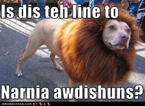 contact dmca 693 x 614 jpeg credited to quoteko com