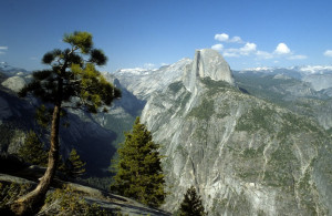 ... quotes found use search from below to search another free quotes