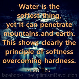Lao Tzu www.lovehealsus.net