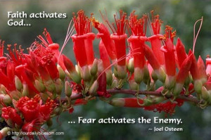 Faith activates God – Fear activates the Enemy. ~ Joel Osteen