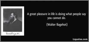 Great Pleasure Quotes