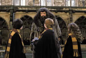 Hagrid & the trio :)) - harry-potter Photo