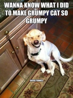 DOG What I Did To Make The Grumpy Cat SO Grumpy Grumpy Puppy Meme