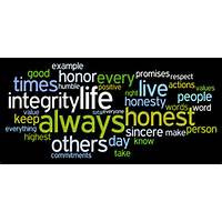 integrity quotes above quote was taken from theodore abels the nazi ...