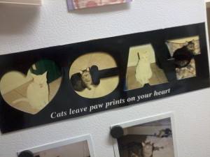 Http//25mediatumblrcom/tumblr Me9oetT9EI1qesvypo1 1280jpg