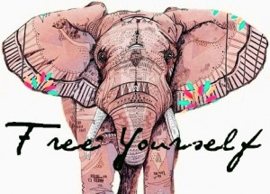 free #elephant #sayings #LifeQuotes #picturequotes #photos #pictures ...