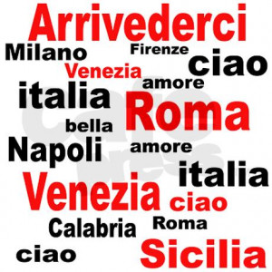 italian_sayings_infant_tshirt.jpg?color=CloudWhite&height=460&width ...