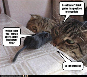 Really Funny Pics With Captions