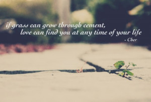 If grass can grow through cement, love can find you at any time of ...