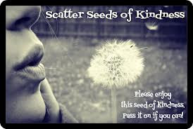 Scatter Seeds of Kindness ~ Kindness Quote