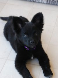 maybelle stick to the plan boys bleed the devil dry