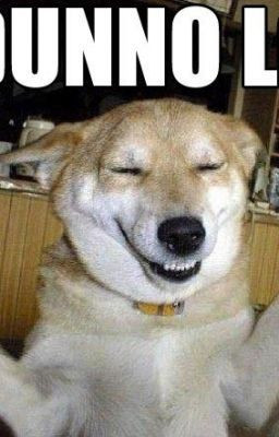 Laugh Out Loud Quotes