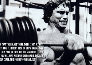Arnold Schwarzenegger Inspiration black and white bodybuilding muscle ...