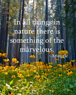 All Things In Nature There Is Something Of The Marvelous. - Aristotle ...