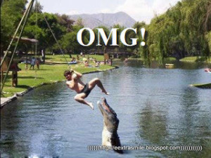 OMG..Where does Crocodile come from?...