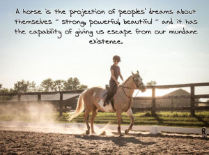 Wind of heaven blows between horses ears...: Photo