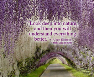 Albert Einstein,Nature / Patience Quotes – Inspirational Quotes ...