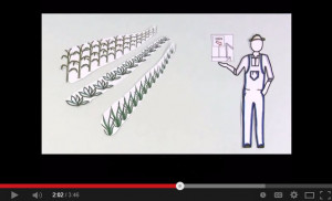 Quotes, News and Tips in the Food Safety and Food Quality Industry!