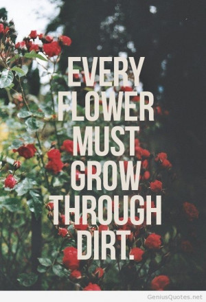 Flower spring quote
