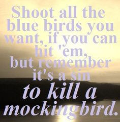 To Kill a Mockingbird by Harper Lee. More