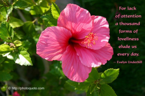 Never forget that the key to the situation lies in the will and not in ...