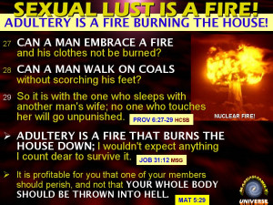 SEX TRUTH 17: ILLICIT SEXUAL LUST IS A FIRE THAT 