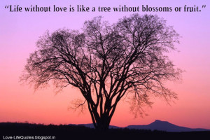 Life without love is like a tree without blossoms or fruit