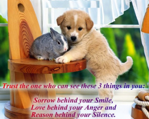 ... behind your Anger and Reason behind your Silence. ” ~ Author Unknown