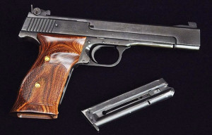 Washington Times: Interesting Gun Snippet