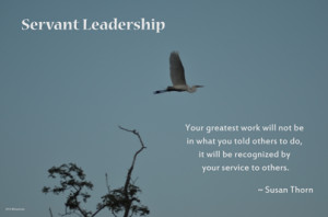 Are you a servant leader? I would love to hear about it. Please ...