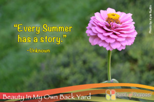 Inspirational Quotes To Share