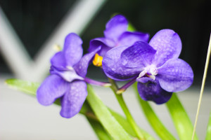 ve been working out several times a week and it’s paying off